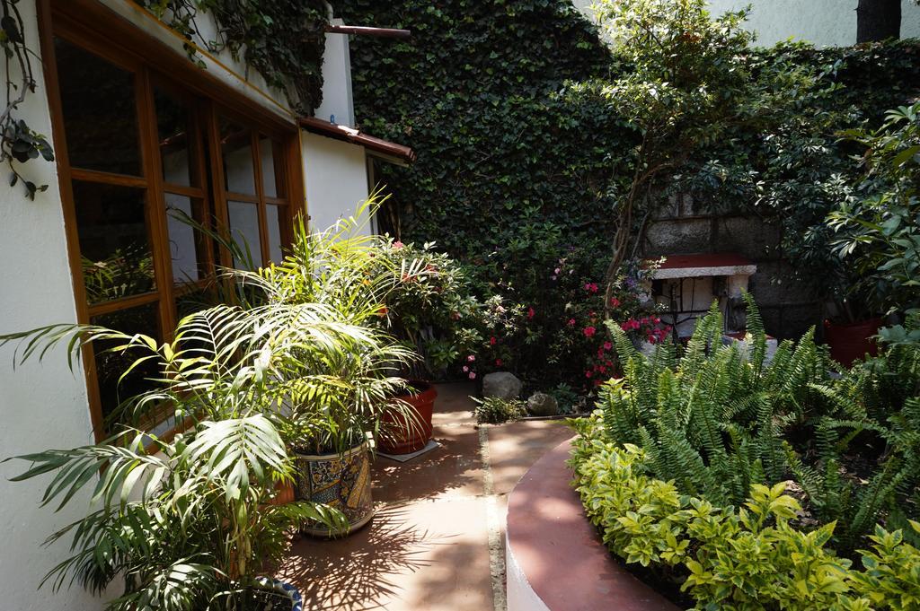 Casa Jacinta Guest House Meksika Dış mekan fotoğraf