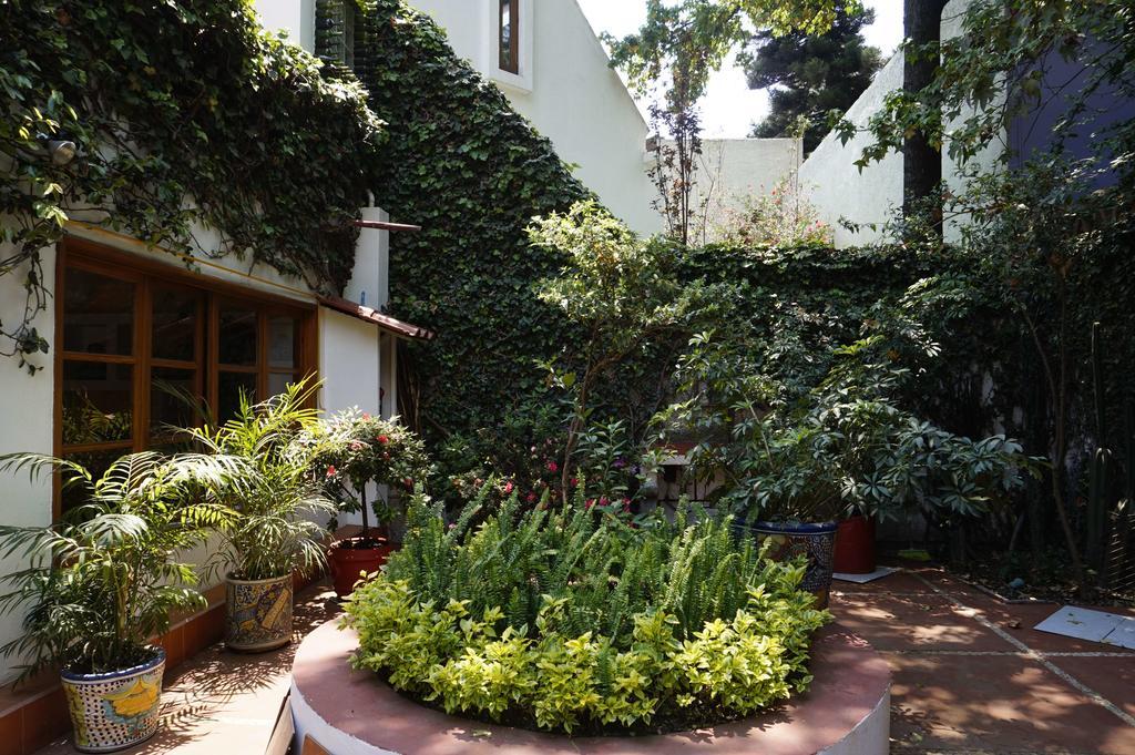 Casa Jacinta Guest House Meksika Dış mekan fotoğraf