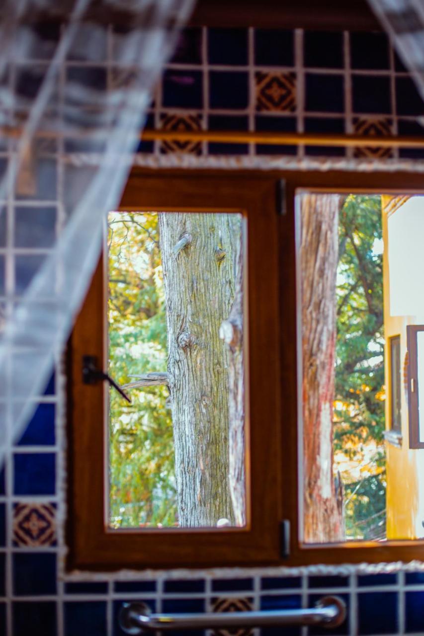 Casa Jacinta Guest House Meksika Dış mekan fotoğraf