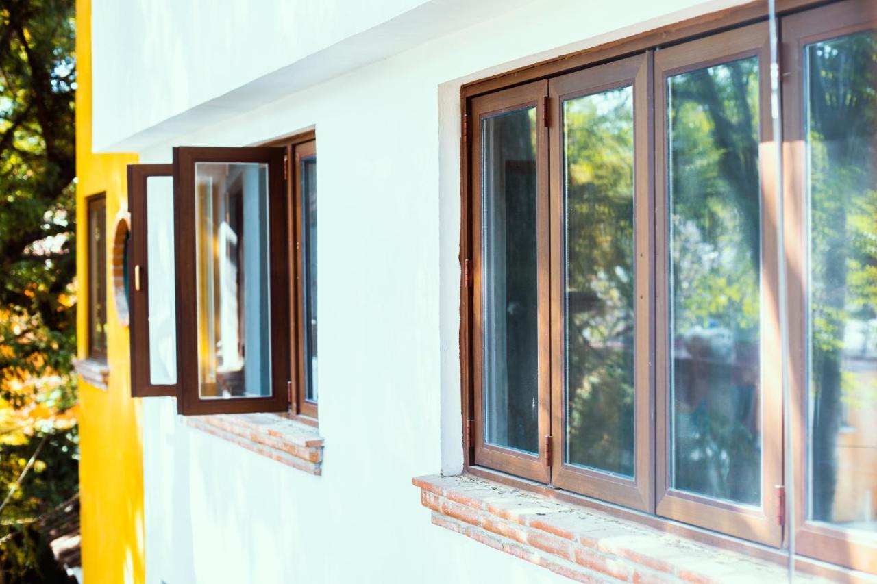 Casa Jacinta Guest House Meksika Dış mekan fotoğraf