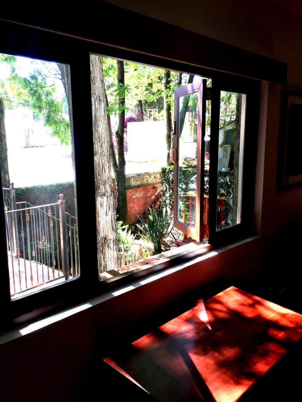 Casa Jacinta Guest House Meksika Dış mekan fotoğraf