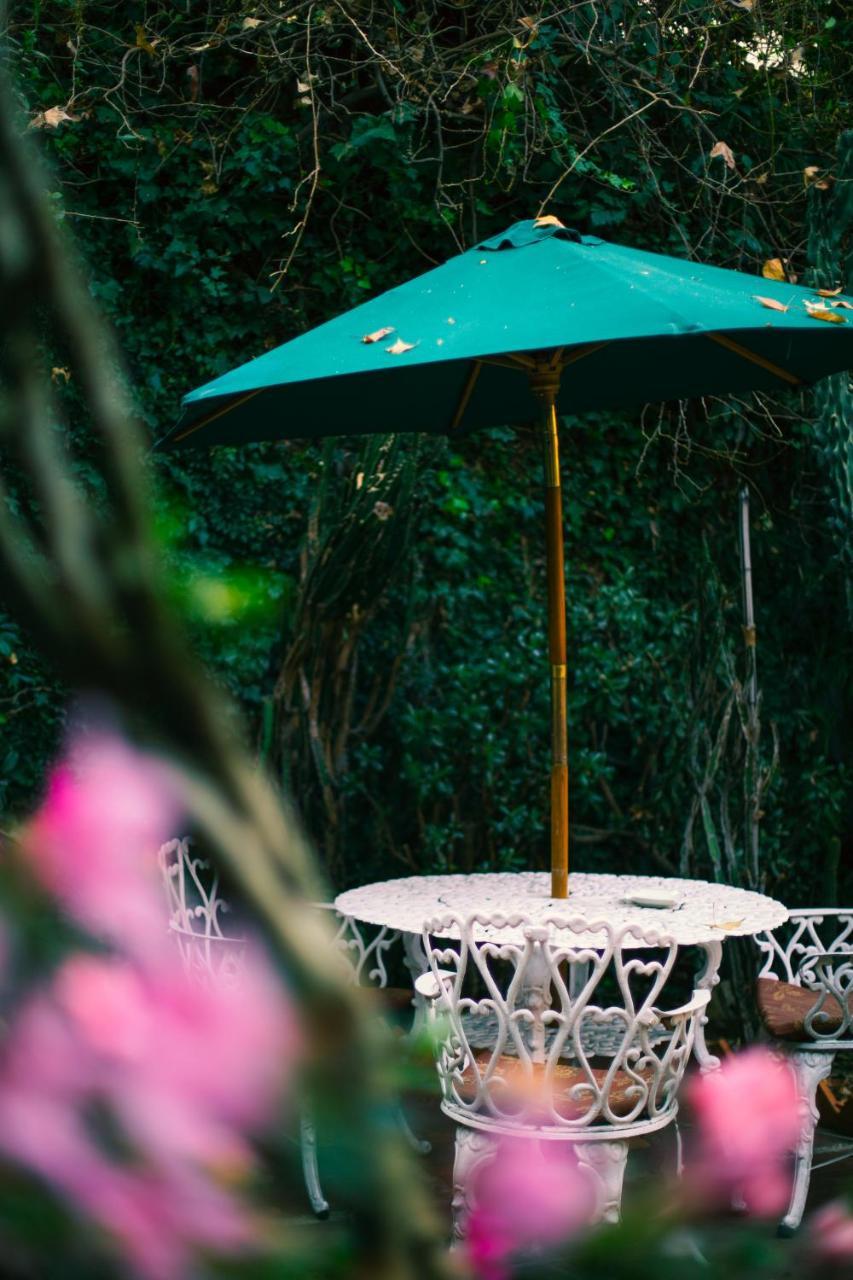 Casa Jacinta Guest House Meksika Dış mekan fotoğraf